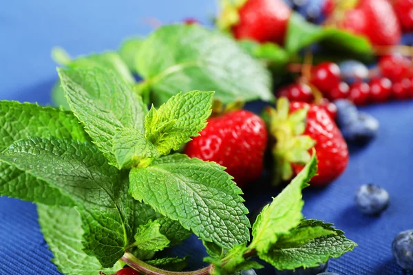 Kelompok berry musim panas segar dengan mint — Stok Foto