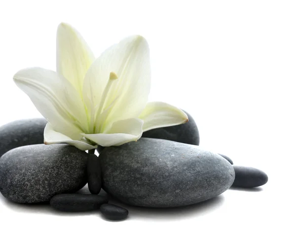 Spa stones with flower on light background — Stock Photo, Image