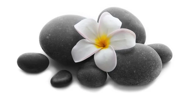 Spa stones with flower isolated on white — Stock Photo, Image