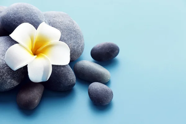 Piedras de spa con flor sobre fondo azul —  Fotos de Stock