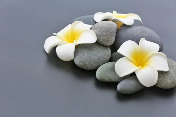 Piedras de spa con flores sobre fondo gris — Foto de Stock