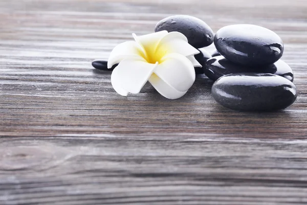 Wet spa stones with flower — Stock Photo, Image