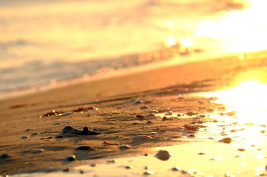 Deniz kıyısında gün batımı