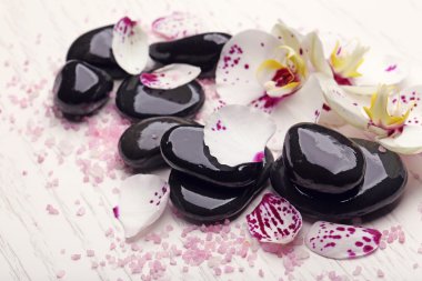 Orkide ve zen taşlar