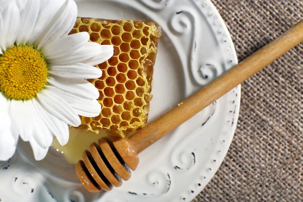 Honeycomb, dipper and chamomile on white plate on sacking background — Stock Photo, Image