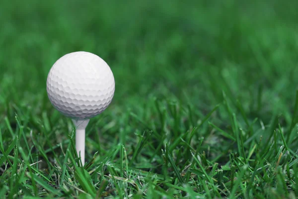 Fehér golf labda zöld fű háttér — Stock Fotó