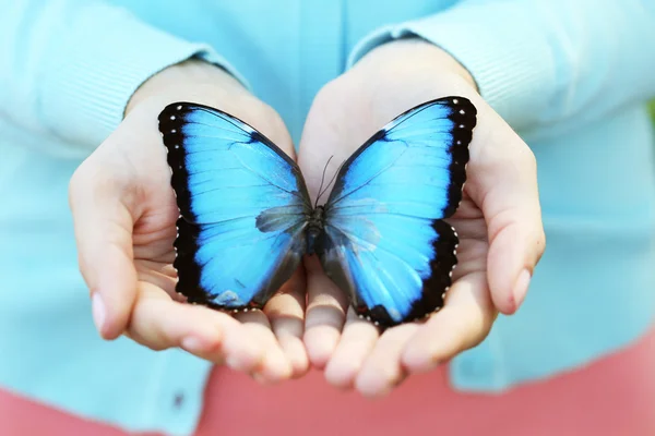 Borboleta colorida na mão feminina — Fotografia de Stock