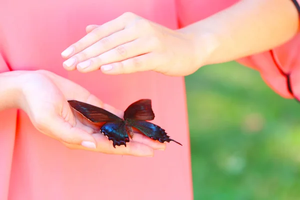 여성의 손에 나비 — 스톡 사진
