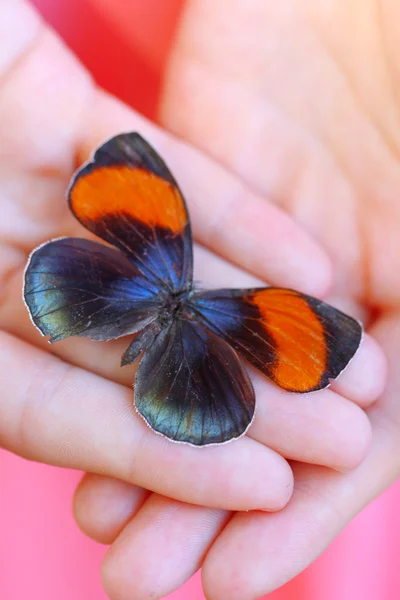 Πεταλούδα στο γυναικείο χέρι — Φωτογραφία Αρχείου