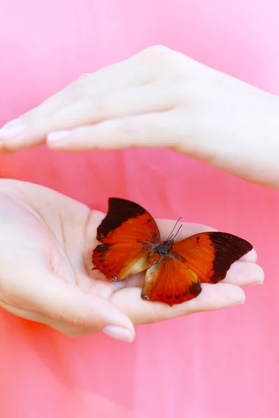 Mariposa en mano femenina — Foto de Stock