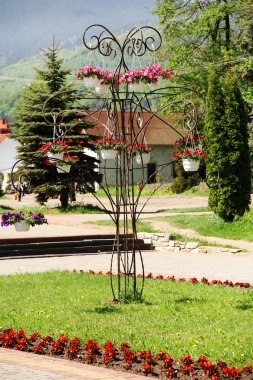 Güzel Çiçek saksıları