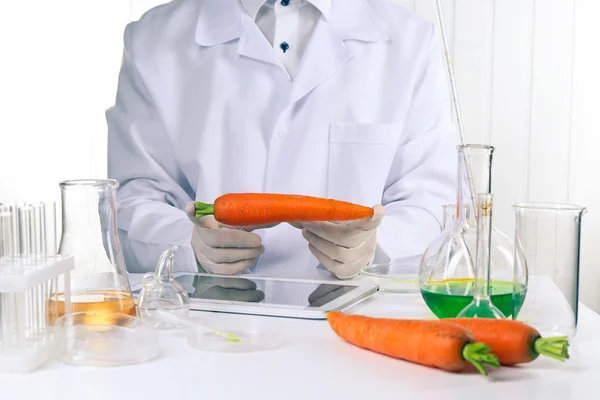 Cientista examina cenouras — Fotografia de Stock