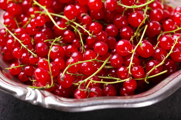 Groseilles rouges fraîches dans un bol — Photo