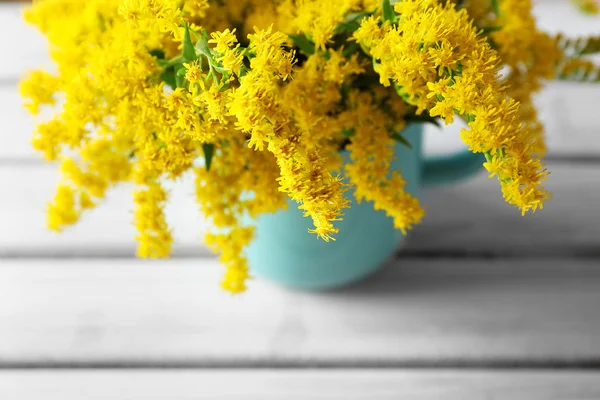 Vackra mimosa blommor — Stockfoto