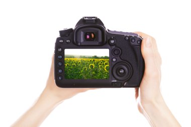 Fotoğrafçı ile iş yerinde fotoğraf makinesi