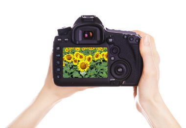 fotoğrafçı ile fotoğraf makinesi