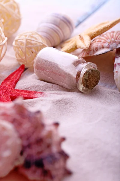 Conchas bonitas no fundo de areia — Fotografia de Stock