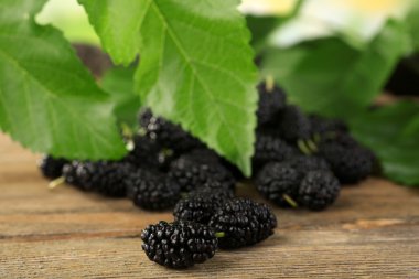 Masada yeşil yaprakları ile olgun dut yığını kapat