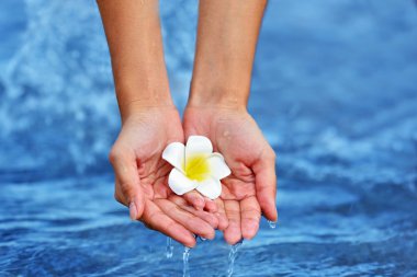 Çiçek tutan ve su dokunmadan eller