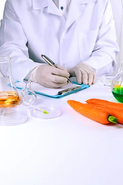 Científico examina zanahorias — Foto de Stock