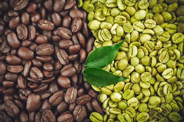 Granos de café verdes y marrones con hojas de cerca — Foto de Stock