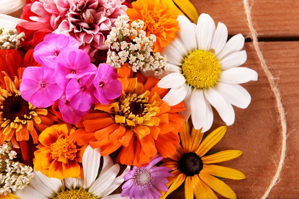 Frische bunte Blumen — Stockfoto