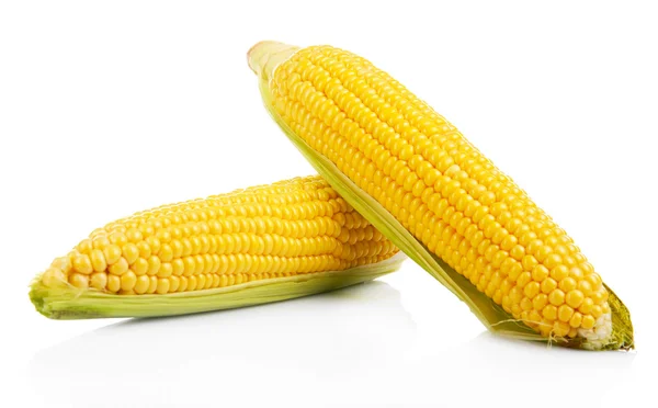 Свіжа кукурудза ізольована на білому — стокове фото