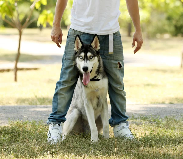 Joven con hermoso perro huskies en el parque — Foto de Stock