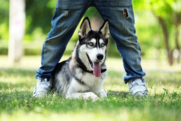 Jeune homme avec beau chien huskies dans le parc — Photo