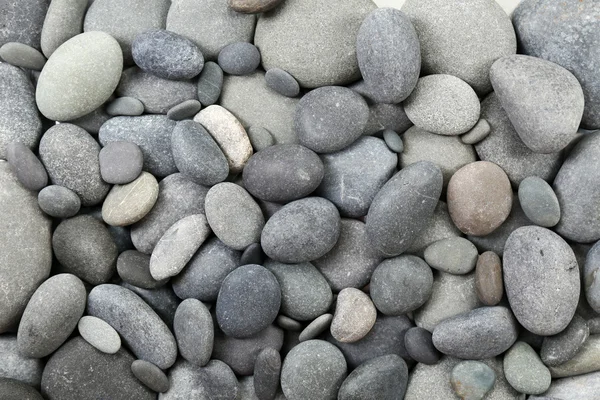 Grå havet pebbles bakgrund — Stockfoto