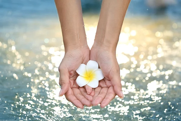 Vrouwelijke handen houden bloem en water aanraken — Stockfoto