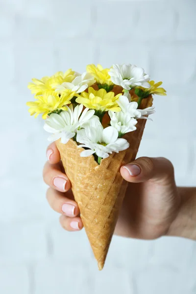 Mujer sosteniendo flores —  Fotos de Stock