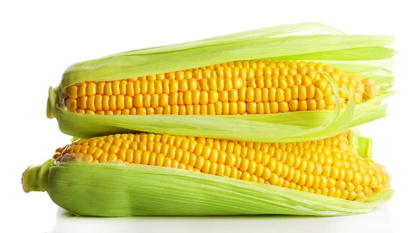 Ripe corn isolated on white — Stock Photo, Image