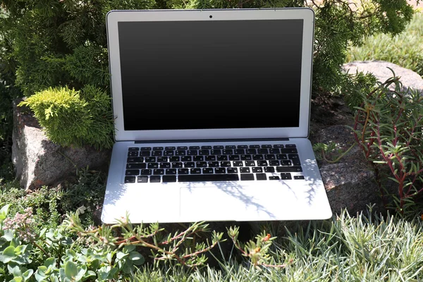 Laptop on green lawn — Stock Photo, Image