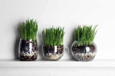 Şeffaf tencere taze ot ile