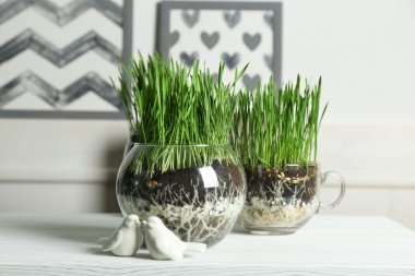 Şeffaf tencere taze ot ile