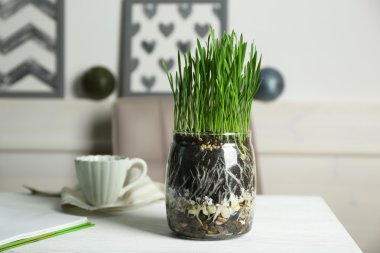 Şeffaf yeşil çim potu