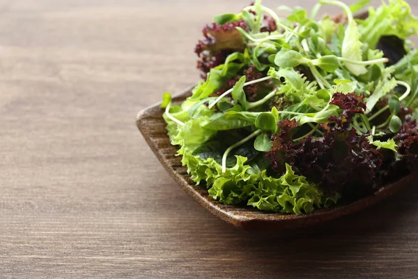 Tabak taze karışık yeşil salata — Stok fotoğraf