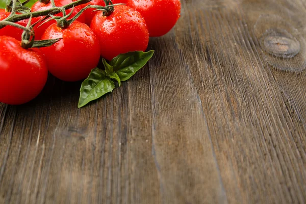 Tomates frescos con albahaca —  Fotos de Stock