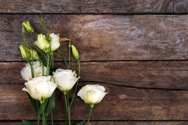 Όμορφη eustoma σε ξύλινα φόντο — Φωτογραφία Αρχείου