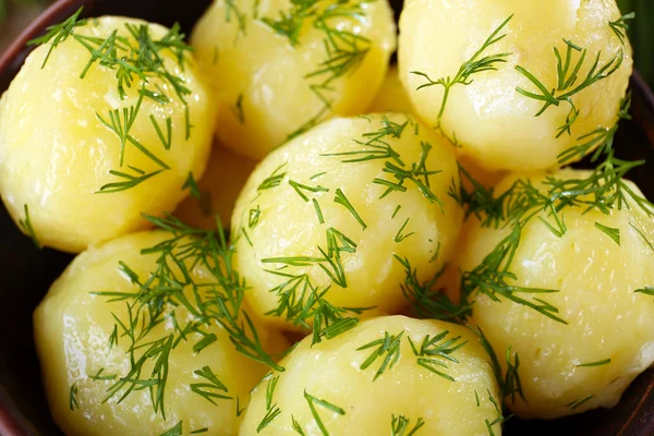 Pellkartoffeln mit Dill — Stockfoto