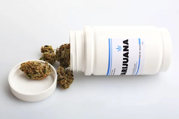 Cannabis medicinal seco — Foto de Stock