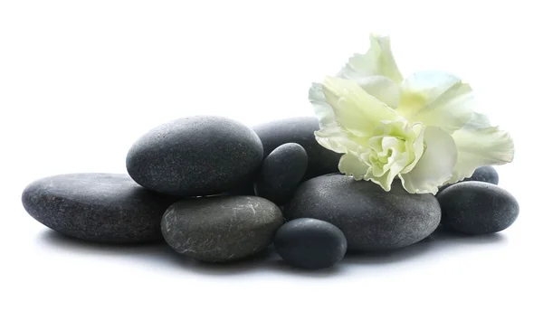 Spa stones with flower on light background — Stock Photo, Image