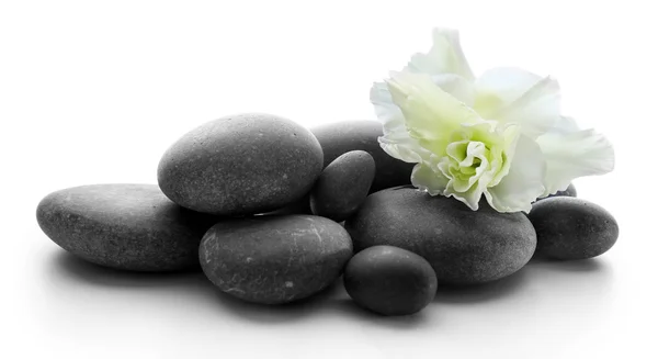 Spa kövek virág-ra könnyű háttér — Stock Fotó