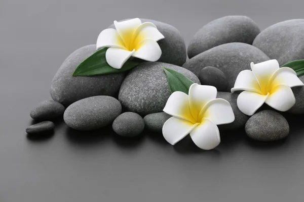 Spa kamienie z kwiatami na szarym tle — Zdjęcie stockowe