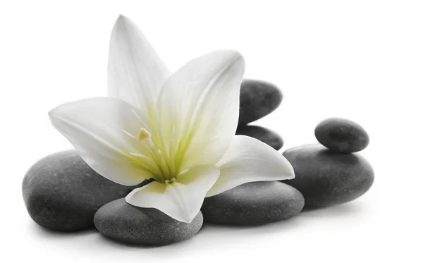 Spa stones with flower on light background — Stock Photo, Image