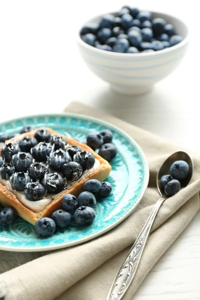 新鲜的蓝莓馅饼 — 图库照片