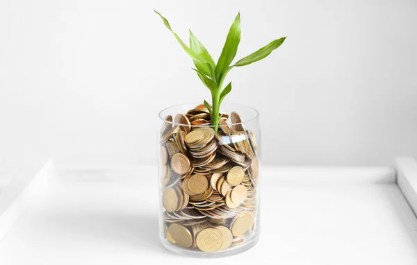 Rostlina roste v mincích — Stock fotografie