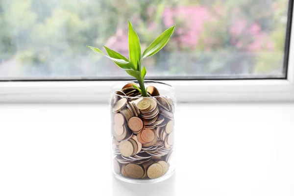 Planta cultivada en monedas — Foto de Stock