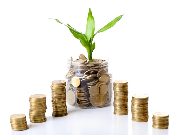 Planta cultivada en monedas aisladas en blanco — Foto de Stock